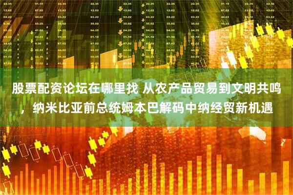 股票配资论坛在哪里找 从农产品贸易到文明共鸣，纳米比亚前总统姆本巴解码中纳经贸新机遇